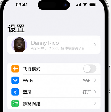 攀枝花appleID维修服务iPhone设置中Apple ID显示为灰色无法使用 