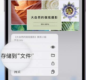 攀枝花apple维修中心分享iPhone文件应用中存储和找到下载文件