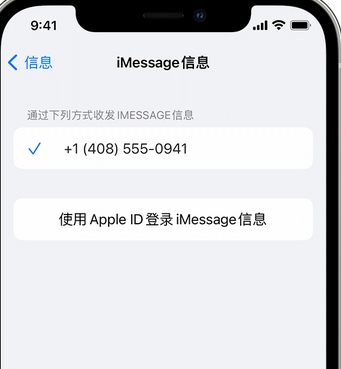 攀枝花apple维修iPhone上无法正常发送iMessage信息 