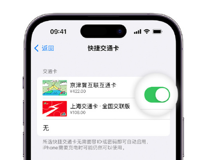 攀枝花apple维修点分享iPhone上更换Apple Pay快捷交通卡手绘卡面 