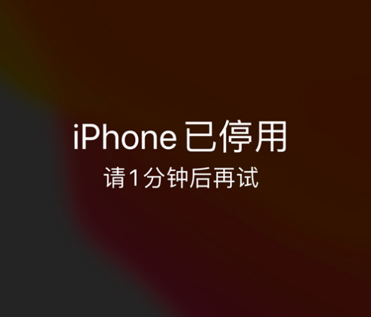 攀枝花苹果手机维修分享:iPhone 显示“不可用”或“已停用”怎么办？还能保留数据吗？ 