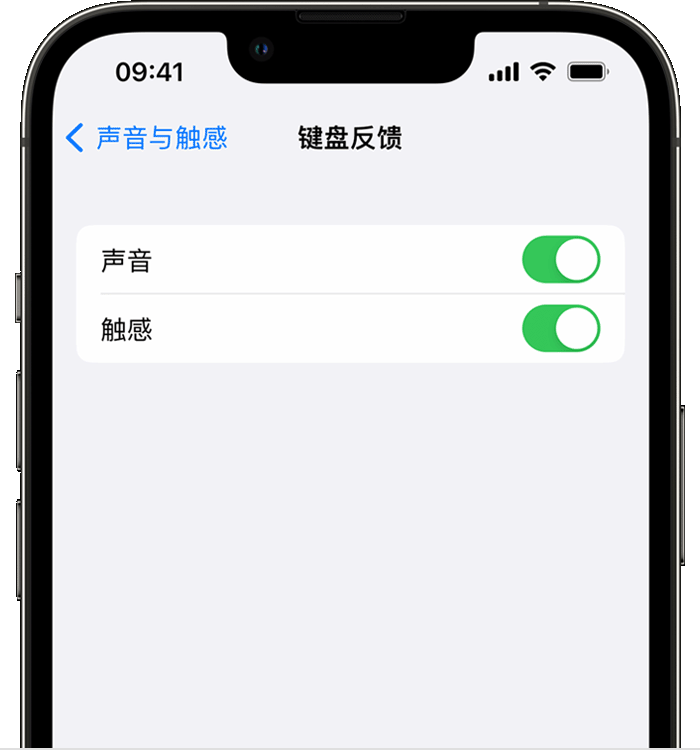 攀枝花苹果14维修店分享如何在 iPhone 14 机型中使用触感键盘 