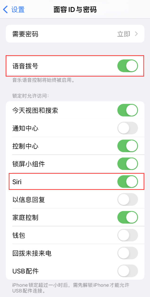 攀枝花苹果维修网点分享不解锁 iPhone 的情况下通过 Siri 拨打电话的方法 