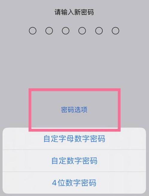 攀枝花苹果14维修分享iPhone 14plus设置密码的方法 