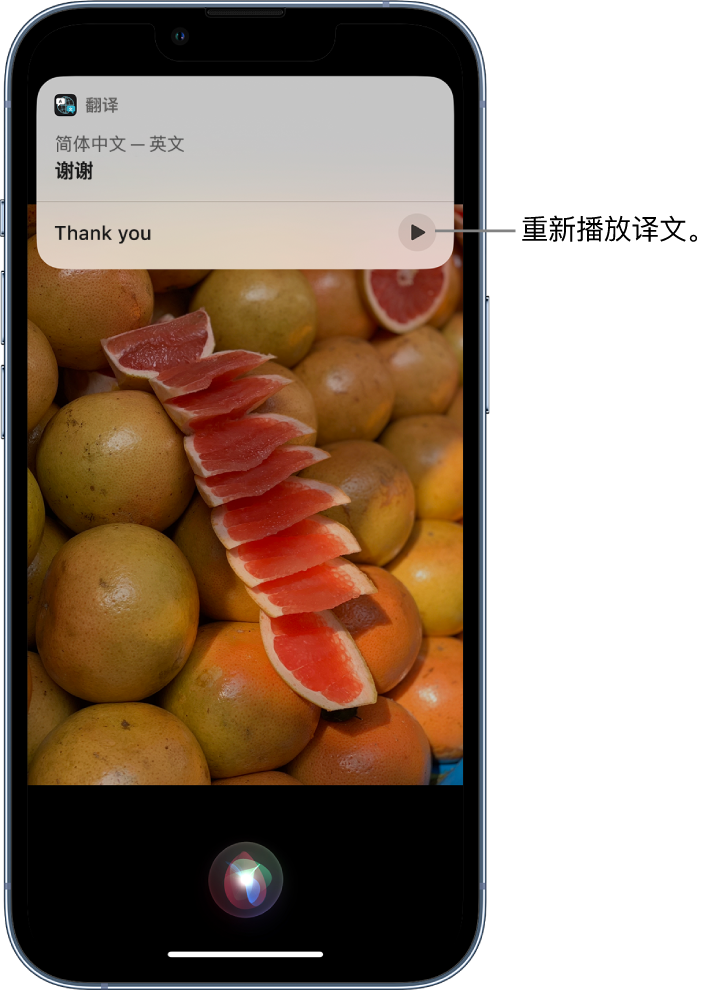 攀枝花苹果14维修分享 iPhone 14 机型中使用 Siri：了解 Siri 能帮你做什么 