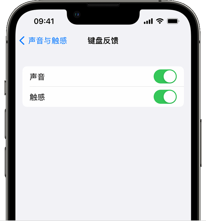 攀枝花苹果14维修分享iPhone 14 系列机型如何开启键盘声音或触感反馈 