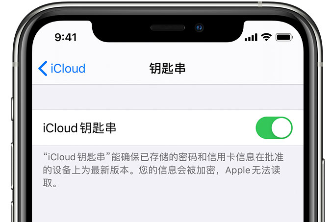 攀枝花苹果手机维修分享在 iPhone 上开启 iCloud 钥匙串之后会储存哪些信息 