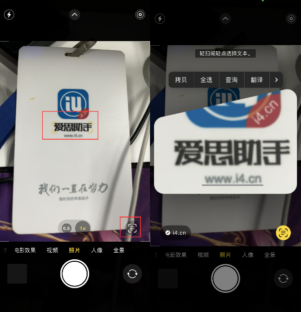 攀枝花苹果手机维修分享升级iOS 16后如何通过相机翻译文本 