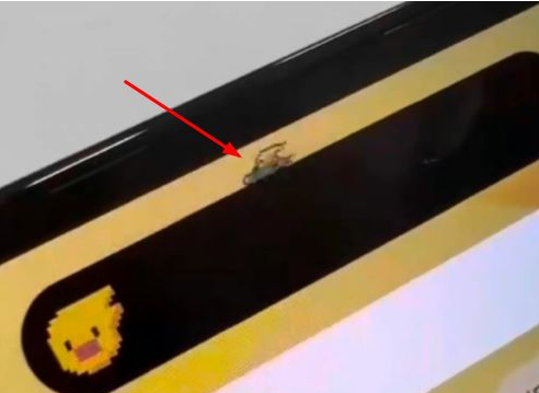 攀枝花苹果14维修分享iPhone 14 Pro Max灵动岛怎么养宠物 