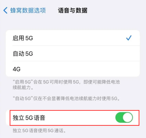攀枝花苹果14维修分享iPhone 14 Pro如何开启VoNR 