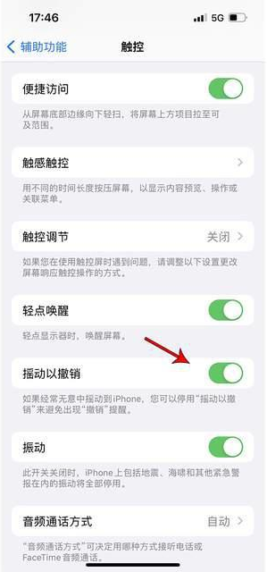 攀枝花苹果手机维修分享iPhone手机如何设置摇一摇删除文字 