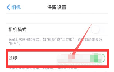 攀枝花苹果13维修分享iPhone13拍照有绿点是怎么回事 