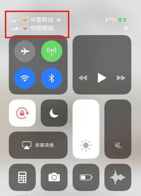攀枝花苹果手机维修分享为 iPhone 12 双卡设置标签 