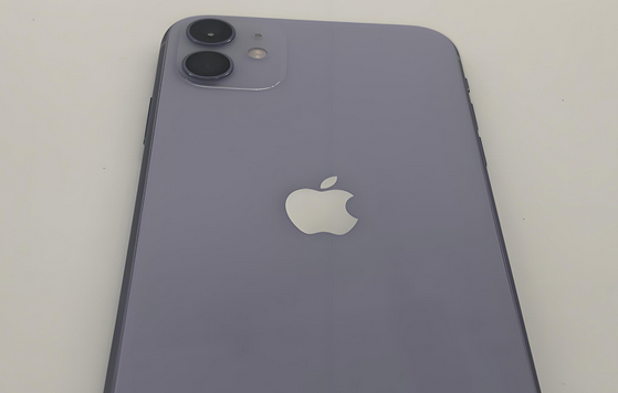 攀枝花苹果11系统维修分享iPhone11手机系统崩溃无法开机如何解决 